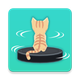 Cleaner Cat