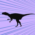 Flying Raptor?