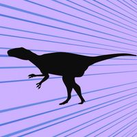 Flying Raptor?