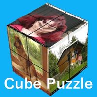 Cube Puzzle