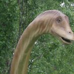 공룡 이름 맞추기