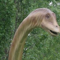 공룡 이름 맞추기