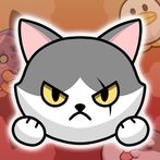 cat going