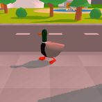 City Duck