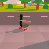 City Duck