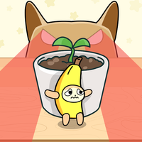 Cat Escape: Hide and Seek
