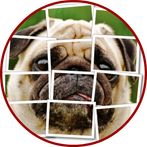 Dog Puzzle