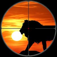 3D Jungle Hunter: Action First