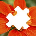 그림 퍼즐 - 모바일에서 간단하게 플레이하는 퍼즐 게임