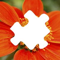 그림 퍼즐 - 모바일에서 간단하게 플레이하는 퍼즐 게임