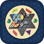 Super Star - 165888 Puzzles