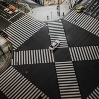 Vibrant tulip fields