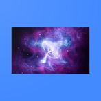 Liams 2019 space quest