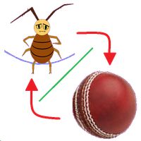 Combo:jump rope & cricket ball