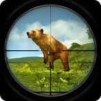 Wild Bear Animal Hunting
