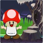 Mushroom Land