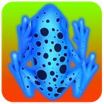 Feed The Frogs