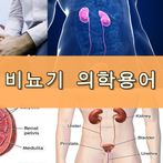신장비뇨계 의학용어 퀴즈100