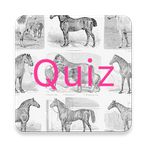 Online Quiz