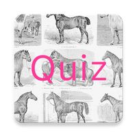 Online Quiz