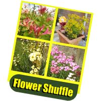 Flower Shuffle