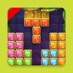 Block Puzzles - Brick Game