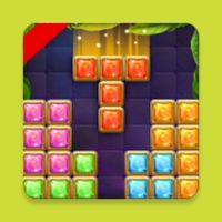 Block Puzzles - Brick Game