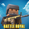 Pixel Danger Zone:Battleroyale