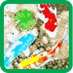 Koi Fish Pixel Games