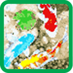 Koi Fish Pixel Games