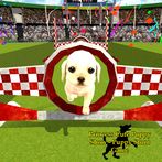 Princess Cute Puppy Show - Pup