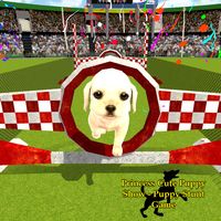 Princess Cute Puppy Show - Pup