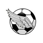 Angry football xyz