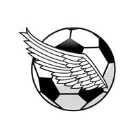Angry football xyz