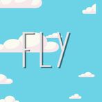 Fly