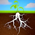Grow Trees