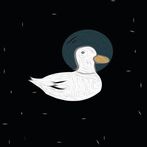Space Duck