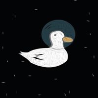 Space Duck