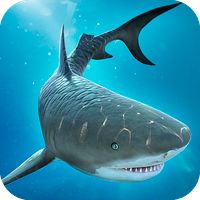 Shark & Crocodile Fight: Run