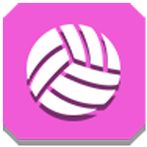 Amazing VolleyBall 3D