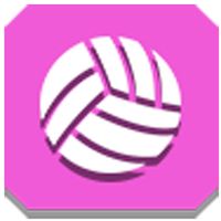 Amazing VolleyBall 3D