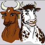 Test Your Brain: Bull & Cow