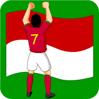 Indonesia soccer team champion