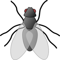 Муха - тренировка внимания