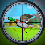 Duck Hunting 3D : Hunter Games