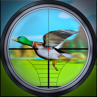 Duck Hunting 3D : Hunter Games