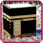 Islamic Arts Jigsaw Puzzle