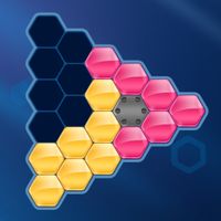 HEXA BLOCK PUZZLE SOLVER - FRE