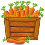 Catch the Carrot