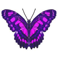 Butterfliestry